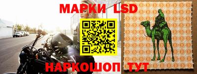 стафф Волгодонск