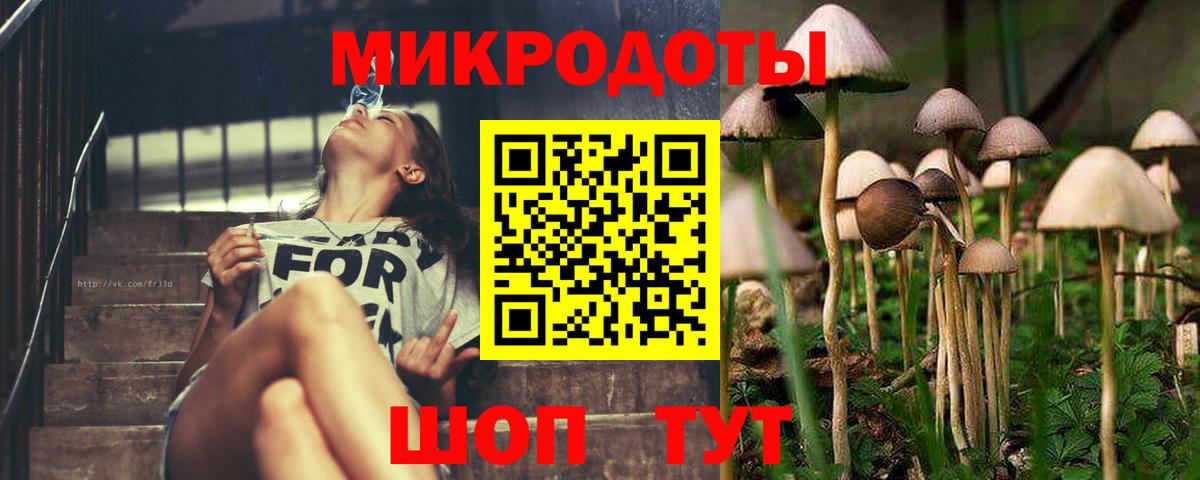 Большой Камень  Галлюциногенные грибы MAGIC MUSHROOMS  Вход с VPN 